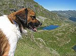 Escursione dai Piani dell'Avaro ai Laghetti di Ponteranica e al Monte Avaro (24 agosto 08) - FOTOGALLERY